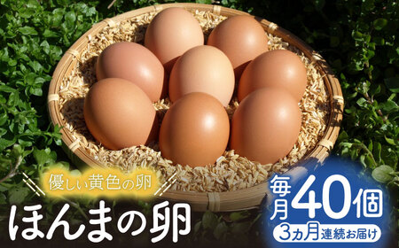 【全3回定期便】平飼いニワトリの有精卵！ほんまの卵定期便 計120個（40個×3回） / たまご 卵 平飼い / 佐賀県 / 本間農園[41AJAA021]