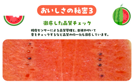 ぷちっと２玉入り　SMAF006