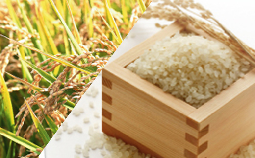 【ご注文後精米】「寿五位（すっごい）高岡牛」Ｄセット