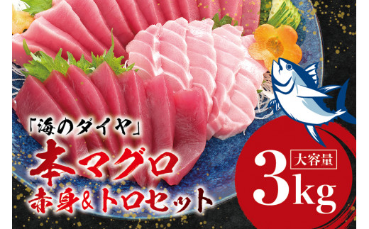 本マグロ（養殖）トロ＆赤身セット 3kg 【１ヶ月以内に順次発送】/ 高級 クロマグロ  中トロ 中とろ  まぐろ マグロ 鮪 刺身 赤身 柵 じゃばらまぐろ 本マグロ 本鮪 【nks112】