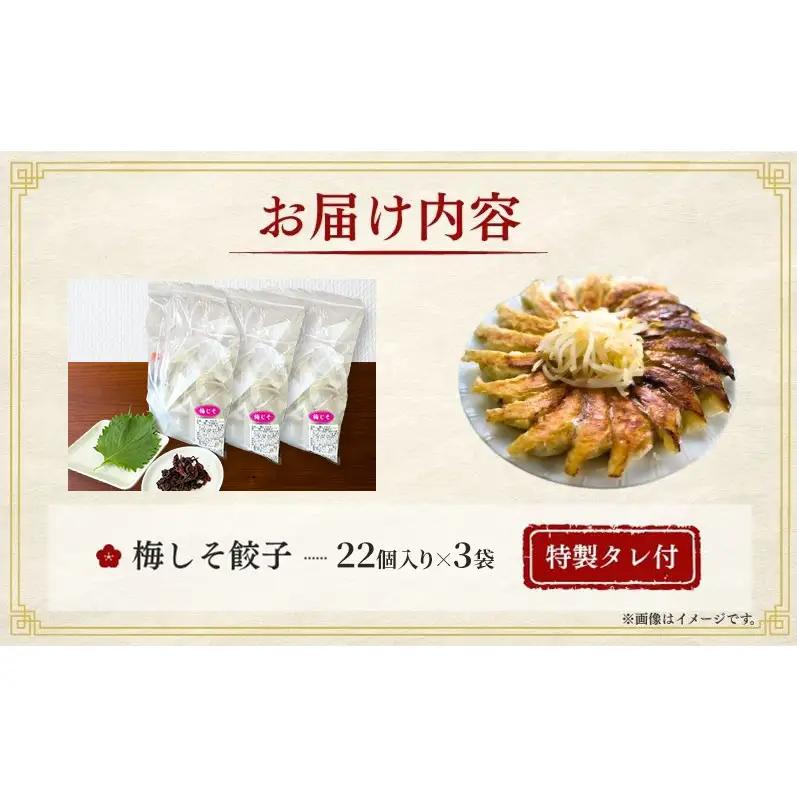 梅しそ餃子66個(22個×3袋) 餃子 冷凍餃子 冷凍ギョーザ 手作り餃子 ギョーザ 点心 中華 中華料理 惣菜 簡単調理 加工食品 静岡県 森町