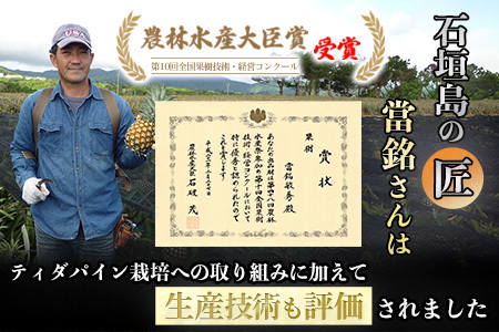 YK-3 當銘さんの完熟カットパイン２．５ｋｇ（２５０ｇ×１０袋）