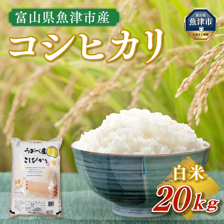 【令和7年度米】富山県 うおづ産米「コシヒカリ」20kg（5kg×4袋）（精米）｜こしひかり 白米 ※北海道・沖縄・離島への配送不可 ※2025年10月上旬～2026年8月下旬頃に順次発送予定