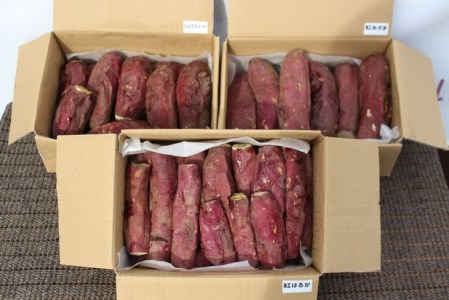 ＜紅はるか＞[品種が選べる]栃木県産さつまいも 冷凍焼き芋 3kg ※着日指定不可◇