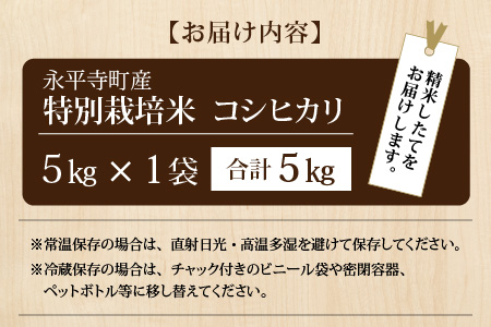 【先行予約】【白米】令和7年度産 永平寺町産 農薬不使用・化学肥料不使用 特別栽培米 コシヒカリ 5kg【10月上旬より順次発送開始予定】 [B-033013]