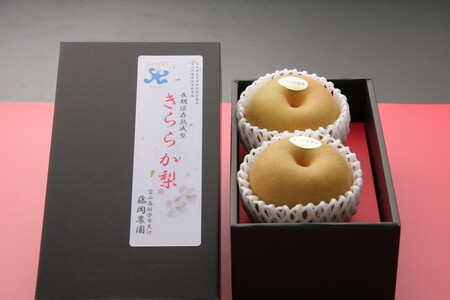 冬に味わう！藤岡さんが作った氷温保存きららか梨（幸水・豊水）2玉【大玉】 ｜ 梨 ナシ 果物 フルーツ　※2026年11月～発送