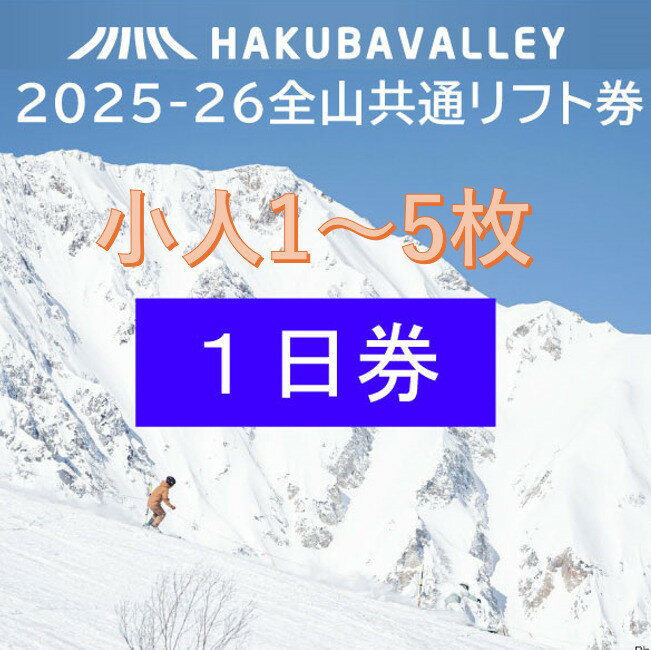 【ふるさと納税】【枚数選択可能】2025-2026 Hakuba Valley 全山共通1日リフト券 小人1枚～5枚 | 券 金券 人気 おすすめ 送料無料
