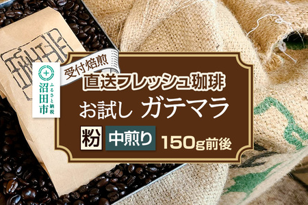 《受付焙煎》直送フレッシュ珈琲 お試し ガテマラ【粉／中煎り】約150g 珈琲倶楽部 沼田店