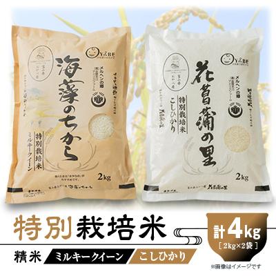 ふるさと納税 小矢部市 特別栽培米4kg(精米/ミルキークイーン・コシヒカリ 各2kg)