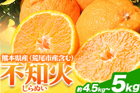 不知火 約 4.5kg～ 5kg みかん《2月下旬-4月下旬頃出荷》熊本県産(荒尾市産含む) 柑橘 フルーツ フレッシュフーズ 不知火 果物 デコポン と同品種 送料無料 果物 シラヌヒ シラヌイ フレッシュフーズ