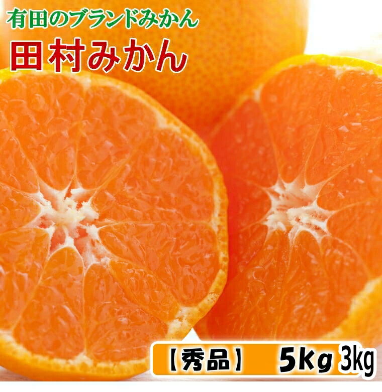 【ふるさと納税】 田村 みかん 【ブランドみかん】 秀品 / 蜜柑 柑橘 甘い 和歌山 湯浅町産 ※11月下旬～12月下旬頃に順次発送予定 //mandarin