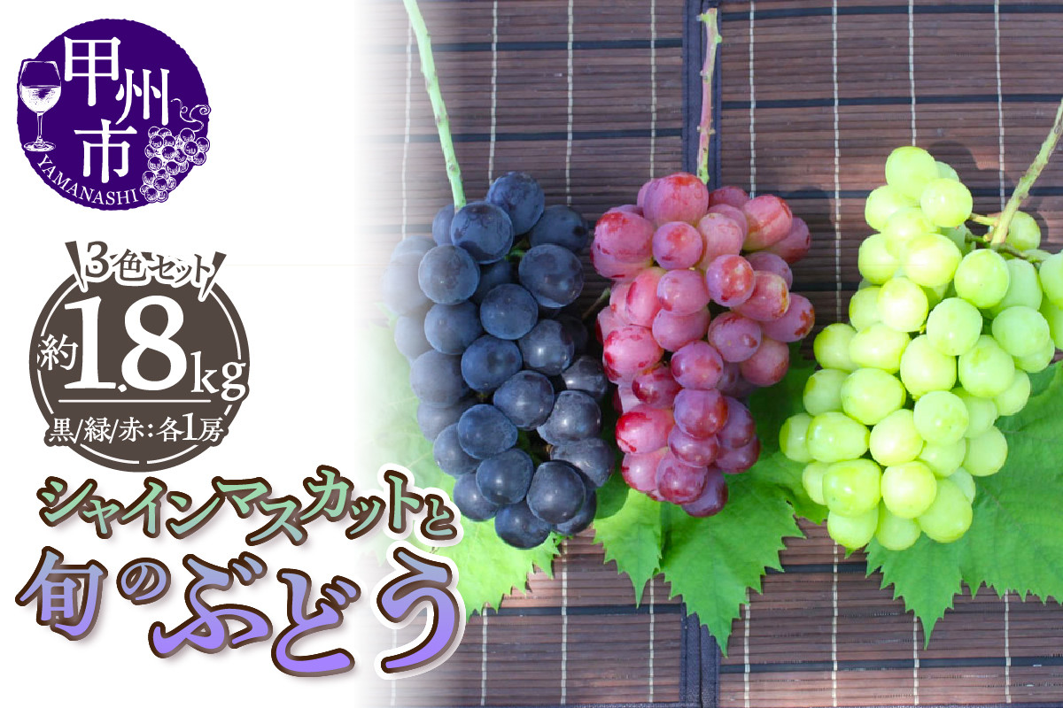 
            厳選！山梨県甲州市産 シャインマスカットを含む3色セット 約1.8kg【2026年発送】（THR）C-811 【シャインマスカット 葡萄 ぶどう ブドウ 令和8年発送 期間限定 山梨県産 甲州市 フルーツ 果物】
          