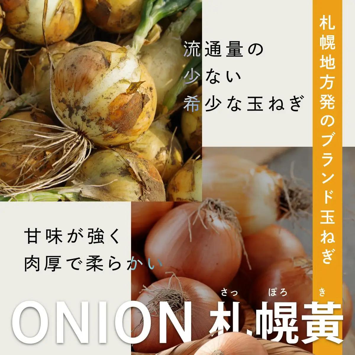【先行予約】幻の玉ねぎ！札幌黄（さっぽろき）5kg [a168-010] 