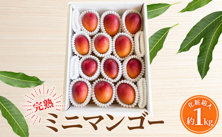 【受付期間:2025年6月25日まで】マンゴー 完熟ミニマンゴー 約1kg 浜松赤土産（化粧箱入） 果物 くだもの フルーツ 完熟 濃厚 甘い 贈答用 幻といわれるマンゴー  静岡県 浜松市