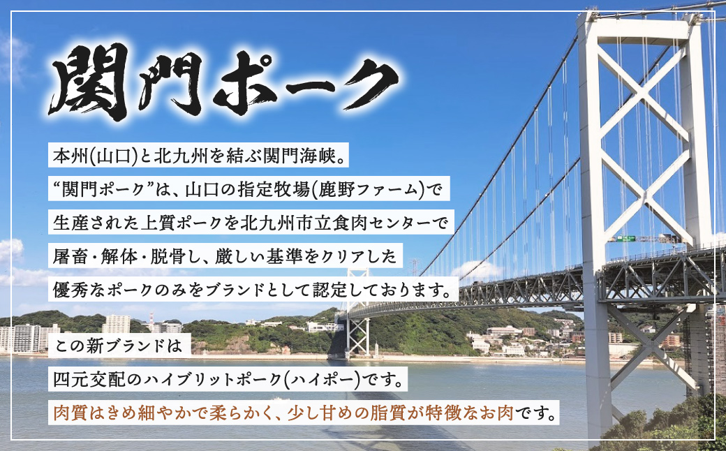 関門ポーク 詰合せ 計1.7kg 食べ比べ