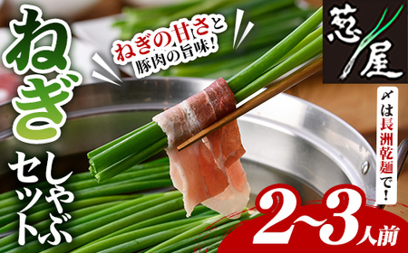 鉄板バル葱屋の ねぎしゃぶセット(2～3人前)ねぎしゃぶ しゃぶしゃぶ 豚肉 ぶた肉 ぶたにく お肉 鍋セット 乾麺 出汁 だし ポン酢【110700500】【葱屋おおくぼ】