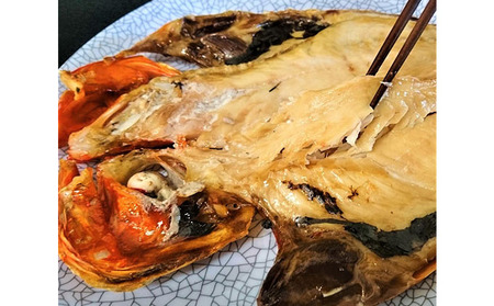 三浦半島 極上アジ干物 16枚  干物 干物 干物 干物 干物 干物 [AKAJ022]