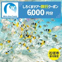 【ふるさと納税】【石垣市】しろくまツアーで利用可能なWEB旅行クーポン(6千円分） | 旅行 チケット 紙券 宿泊 宿泊券 宿 観光 クーポン ホテル 飛行機 交通費 観光施設 体験 トラベルクーポン 沖縄県 石垣市 石垣島 送料無料 人気 WB-2