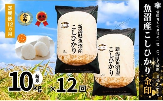 【 定期便 12ヶ月 】 高食味米 10kg ( 5kg × 2袋 ) × 12回 令和7年産 新米 魚沼産 コシヒカリ 金印 ( 一等米の中から厳選 ) | 白米 精米 米 お米 新潟県 津南町