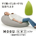 【ふるさと納税】ビーズクッション MOGU モグ たまごソファ カバー 付 日本製 クッション ビーズソファ ひとり ソファ 一人用 ソファー チェア 背当て 一人掛けソファ 枕 全身枕 ごろ寝 ごろ寝マット インテリア おしゃれ 日用品 雑貨 兵庫県 兵庫　 加西市