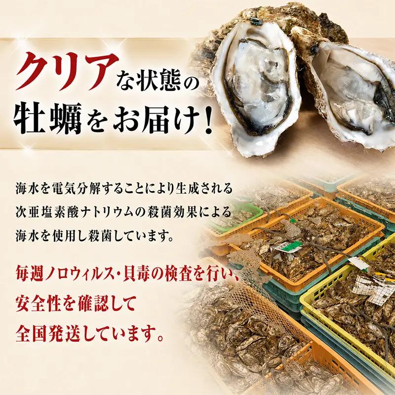 牡蠣 訳あり 約4kg 生食 4月発送【他月は別ページ】 マルえもん 牡蠣