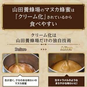 【毎月定期便】マヌカ蜂蜜(クリームタイプ)MG250+(22178)全3回【4008986】
