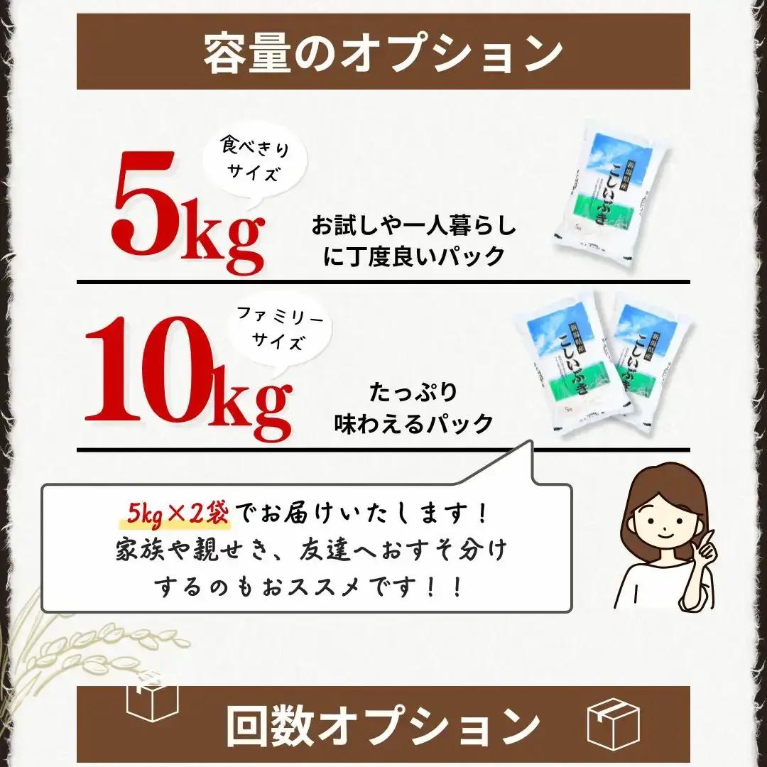 新潟県産 こしいぶき 10kg 令和7年産 精米 白熊