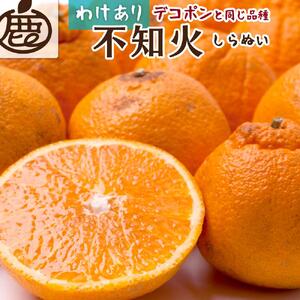 ［先行予約］家庭用 不知火1kg+250g（傷み補償分）［デコポンと同品種・人気の春みかん］［わけあり・訳あり］［IKE121］