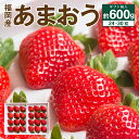 【ふるさと納税】福岡産 あまおう 24-30粒 【2024年11月下旬～2025年3月下旬発送予定】 約600g ギフト箱 予約 苺 いちご イチゴ あまおう 果物 くだもの フルーツ 大粒 福岡限定生産 冷蔵配送 送料無料