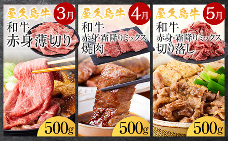 【定期便 全8回】【屋久島牛】世界自然遺産 全品堪能定期便＜1～8月発送＞