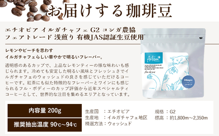有機JAS認証生豆使用　珈琲豆２種セット（エチオピア・コロンビア）Artisan＋《30日以内に出荷予定(土日祝除く)》珈琲豆 挽き豆 コーヒー 飲み比べ ギフト プレゼント カフェ 千葉県 流山市 