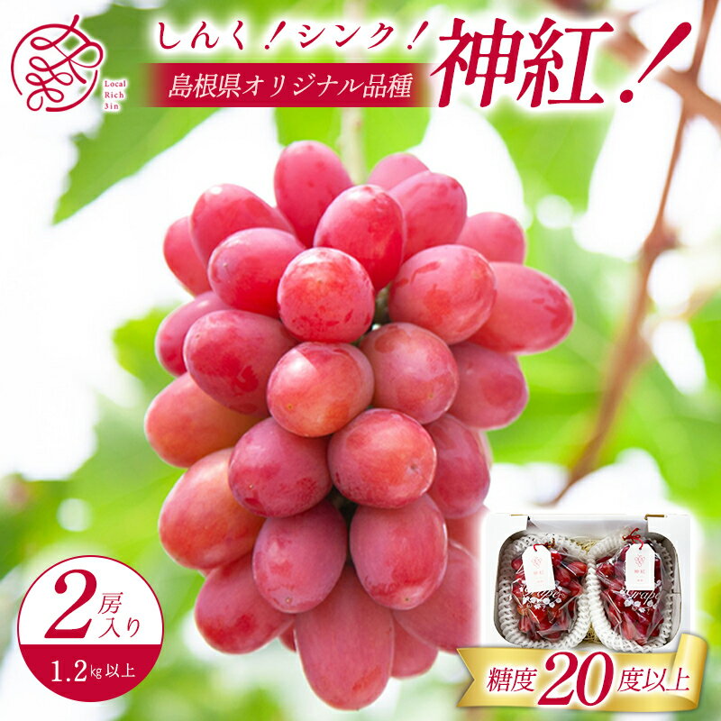 【ふるさと納税】 神紅 ぶどう 2房 島根県オリジナル品種 皮ごと 種なし 高糖度 農家直送 新鮮 ブドウ 果物 くだもの フルーツ 葡萄 先行予約 季節限定 数量限定 贅沢 ご褒美 ギフト 贈答 贈り物 プレゼント 特産品 お取り寄せ