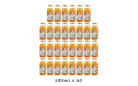 【定期便 3回】 小田原産江之浦みかん１００％ストレートジュース１８０ml３０本 【みかんジュース みかんジュース 神奈川県 小田原市 】