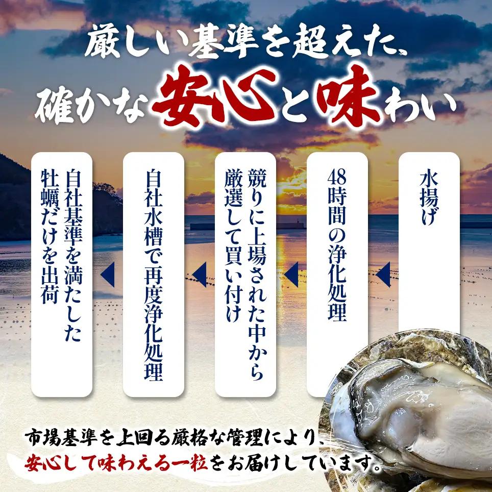 殻付き 牡蠣 LLサイズ 20個 【光輝】マルえもん 生食用 牡蠣
