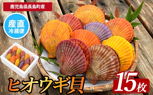 
                  ＜先行受付＞長島特産！ヒオウギ貝(15個) 【口之福浦ヒオウギ貝出荷グループ】 kuchi-7188
                