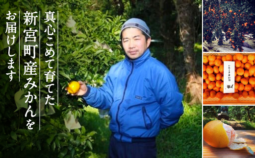 AA216.いわくま果樹園から直送品の温州みかん（約5kg）／2025年9月下旬～2026年1月下旬発送予定★予約分★