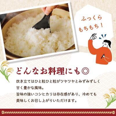 ふるさと納税 四万十市 【令和7年産】四万十のこしひかり5kg R8 |  | 02