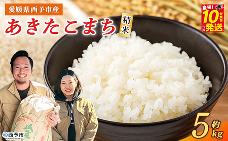 ＜令和7年産 西予市産 あきたこまち 精米 約5kg＞ お米 米 コメ こめ 白米 国産米 単一原料米 ご飯 穀物 5キロ お弁当 おにぎり 特産品 愛媛県産 株式会社宇都宮米穀 愛媛県 西予市【常温