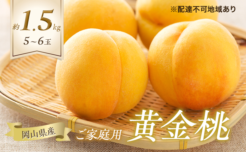 桃 2025年 先行予約 ご家庭用 岡山の 黄金桃 5～6玉 合計約1.5kg もも モモ 岡山県産 国産 フルーツ 果物 ギフト