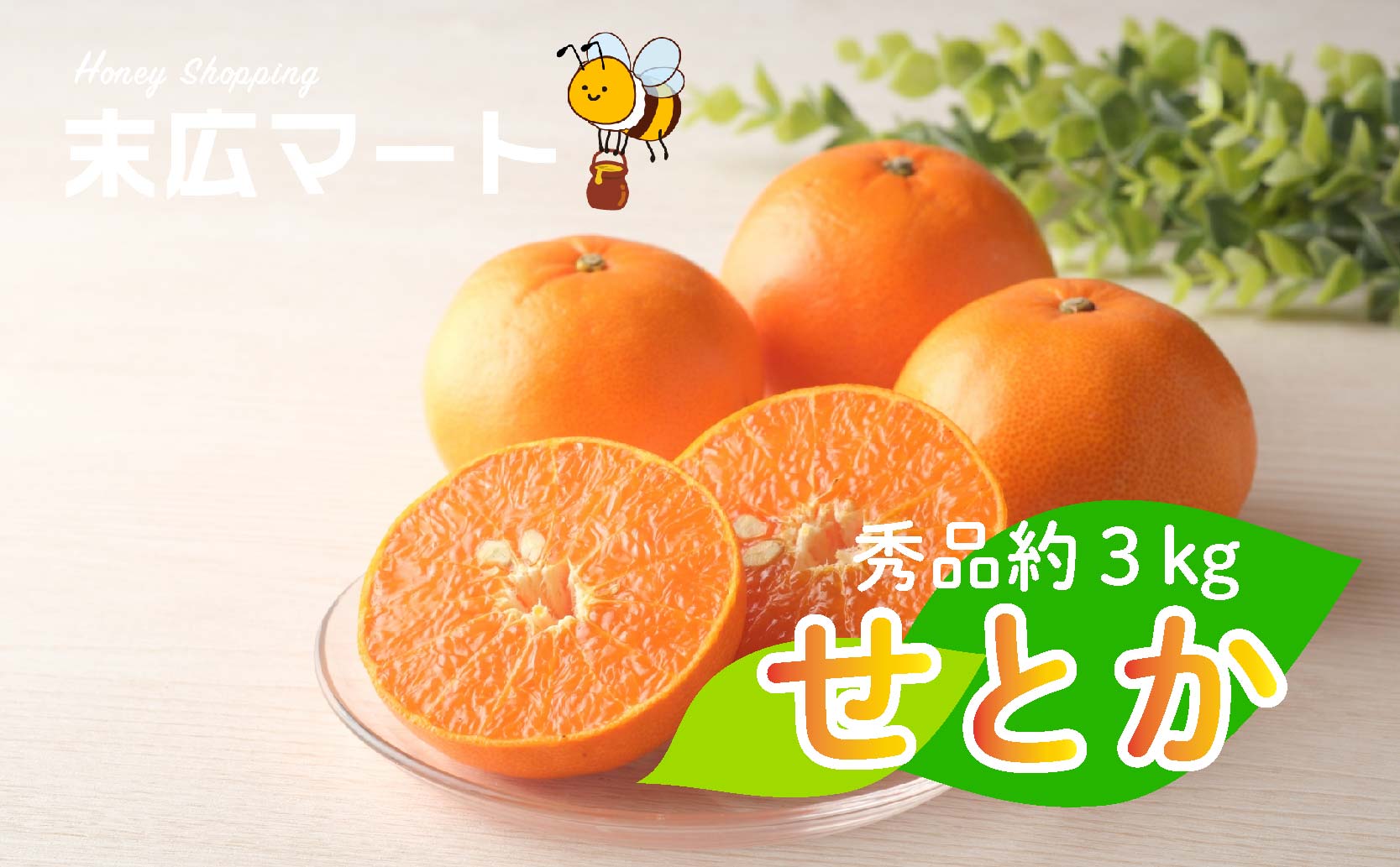 【2027年3月上旬ごろから発送予定】せとか 約 3kg (9~13玉) | 3月発送 柑橘 蜜柑 みかん ミカン  秀品 愛媛 松山市 柑橘 高級 糖度