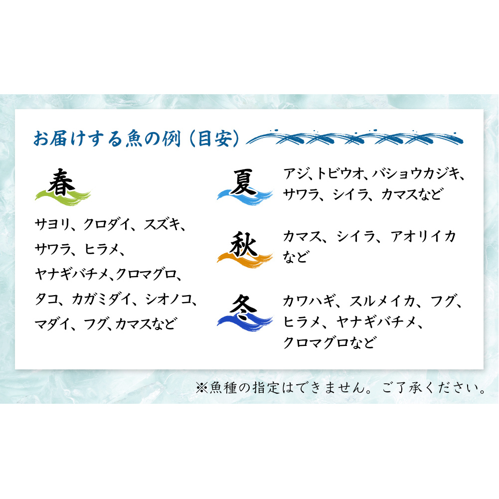 【冷蔵】お刺身 詰め合わせ（サク）4,5人前（5種類）　釣屋魚問屋直営 ひみ岸壁市場_イメージ3