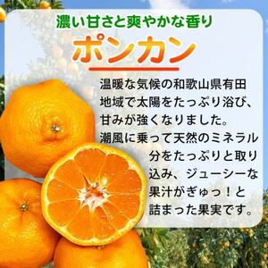 【日高町】紀州和歌山有田産ポンカン　5kg【1217367】