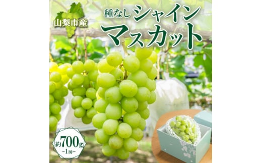 〈2025年先行受付〉果汁あふれるジューシーな「山梨市産 シャインマスカット 1房 約700g」【1513031】