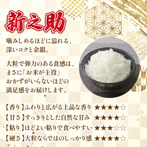 【先行予約】令和8年産 無洗米 新之助 10kg 新之助 5kg 2袋 kwsMSS
