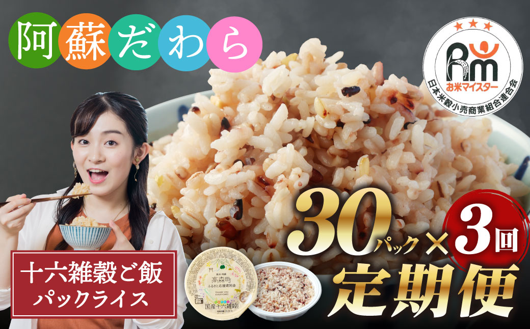 【定期便3ヶ月】阿蘇だわら 十六雑穀ごはん パックライス 160g×30パック 合計90パック 国産