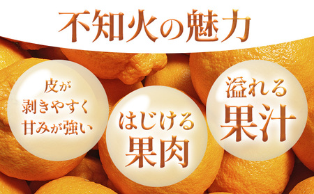 不知火 デコポン 同品種 約3kg 日本フルーツ株式会社 熊本県 荒尾市 《1月下旬-2月末頃出荷予定》 デコポン 果物 秀品 フルーツ スイーツ デザート ギフト ご贈答