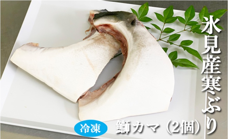 
氷見産寒ぶり　鰤カマ2個 角安商店 富山県 氷見市 魚介 寒ぶり ぶり ブリ 鰤 加工食品
