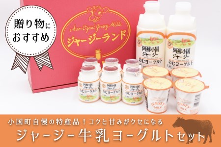 【小国郷特産ジャージー牛乳を使用！】ヨーグルトセット（YS-1）