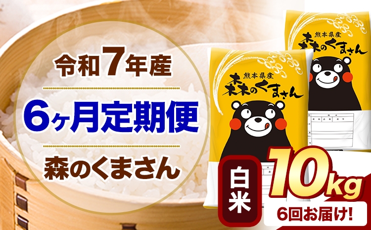 
                  【6ヶ月定期便】 令和7年産 白米  森のくまさん 10kg 5kg×2袋  《お申し込みの翌月から出荷》 熊本県産 白米 精米 米 こめ コメ お米 kome
                