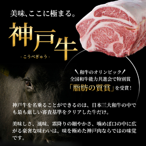 神戸牛 ハンバーグ 100g×10個  神戸ビーフ 国産 普段使い 肉 牛肉 セット 冷凍 小分け 帝神志方